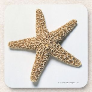 Starfish shell on white background coaster