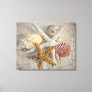 Starfish/Shell/Sand Beach Still Life Canvas Print