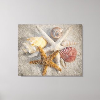 Starfish/Shell/Sand Beach Still Life Canvas Print