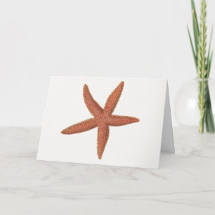 Starfish - Sherman Denton Fish Lithograph Card