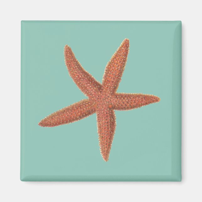 Starfish - Sherman Denton Fish Lithograph Magnet (Front)