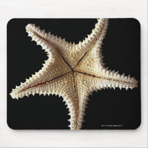 Starfish skeleton, close-up 2 mouse mat