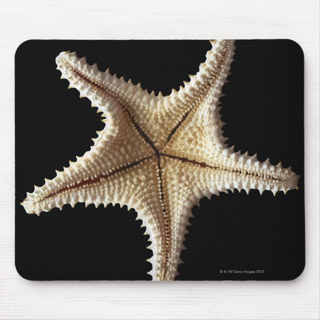 Starfish skeleton, close-up 2 mouse mat (Front)