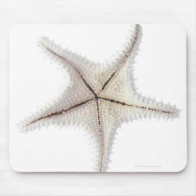 Starfish skeleton, close-up mouse mat (Front)