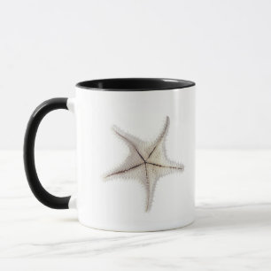 Starfish skeleton, close-up mug