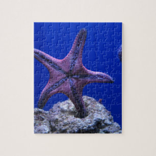 Starfish, Star Bright! Jigsaw Puzzle