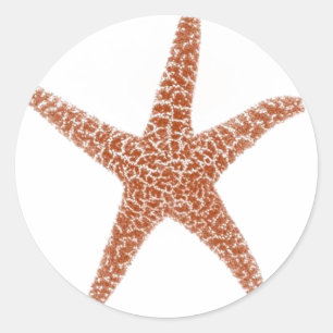 Starfish Sticker