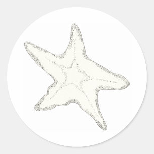 Starfish Sticker