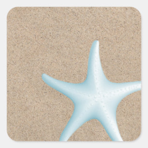 Starfish Sticker