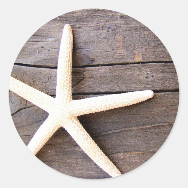 Starfish Stickers (Front)