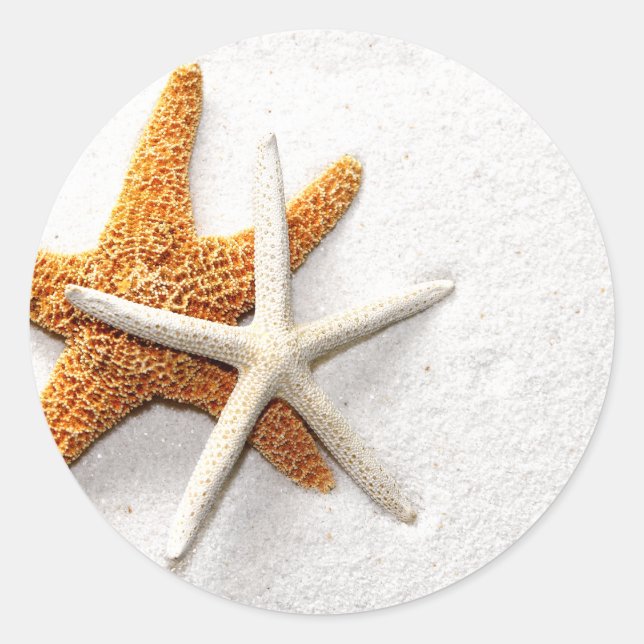 Starfish Stickers (Front)
