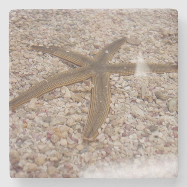 Starfish Stone Coaster (Front)