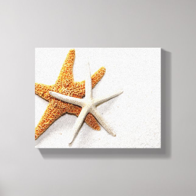 Starfish Stretched Canvas Print (Front)