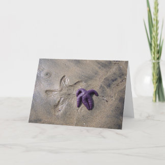 Starfish Tracks Card