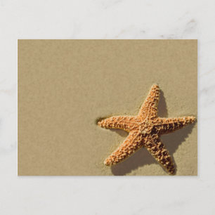 Starfish Tropical Event Beach Wedding Invitation Postcard
