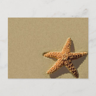 Starfish Tropical Event Beach Wedding Invitation Postcard