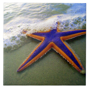Starfish Tropical Sandy Beach Sea Wave Tile