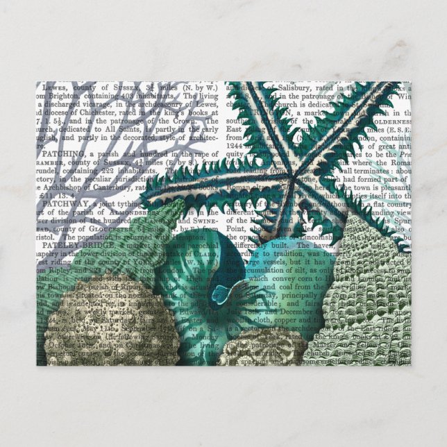 Starfish Under the Sea Postcard (Front)