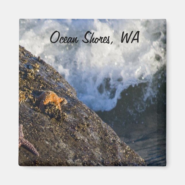 Starfish & Waves Magnet (Front)