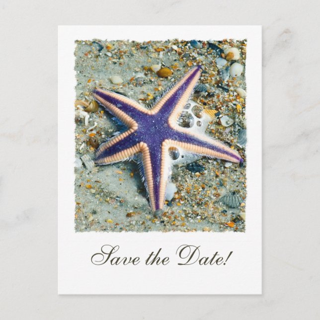 Starfish Wedding Save the Date Postcard (Front)