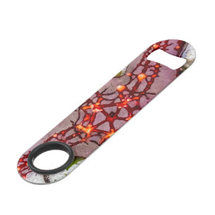 Starfish, Zanzibar, Tanzania