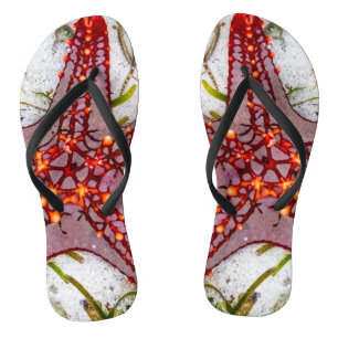 Starfish, Zanzibar, Tanzania Flip Flops