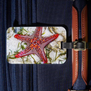 Starfish, Zanzibar, Tanzania Luggage Tag