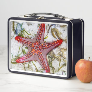 Starfish, Zanzibar, Tanzania Metal Lunch Box
