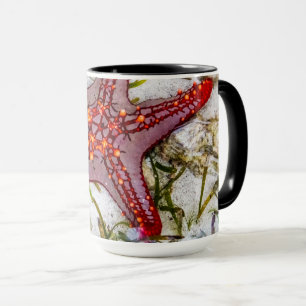 Starfish, Zanzibar, Tanzania Mug