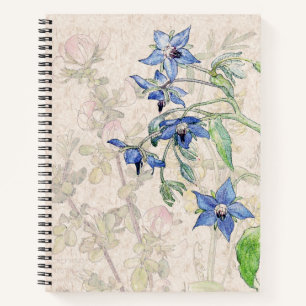 Starflower Borage Wildflower Flowers Notebook