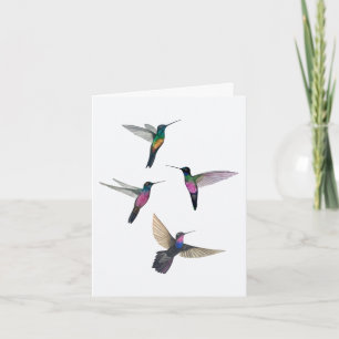 Starfrontlet Hummingbirds Card