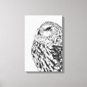 Stargazer Canvas Print