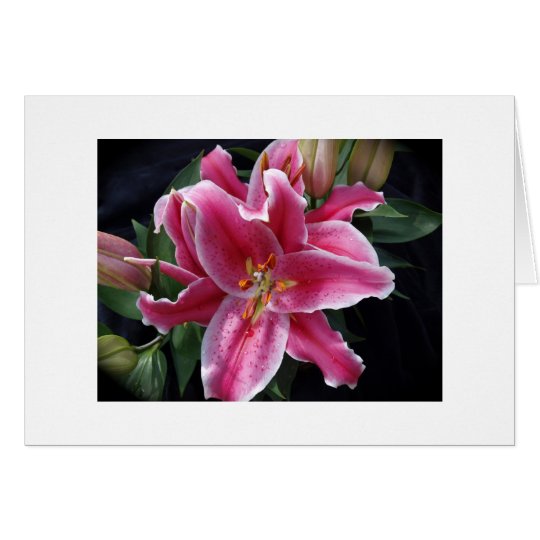 Stargazer Card