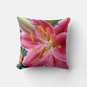 Stargazer Cushion