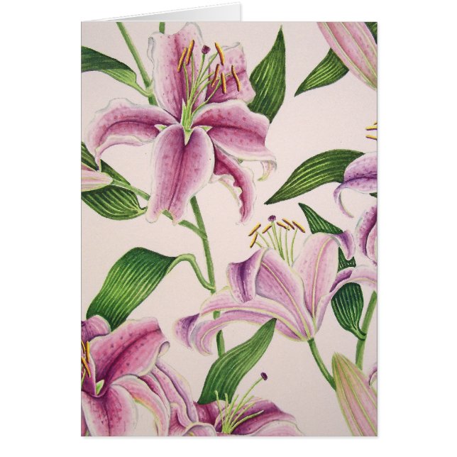 Stargazer Lilies (Front)