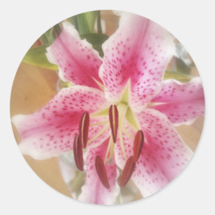 stargazer lilies #1 classic round sticker