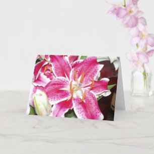 Stargazer Lilies Blank Inside Card