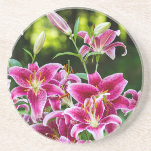 Stargazer Lilies Coaster