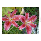 Stargazer Lilies Garden Floral