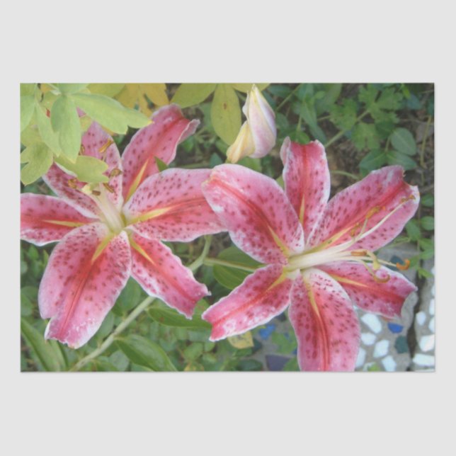 Stargazer Lilies Garden Floral Tissue Paper (Front)
