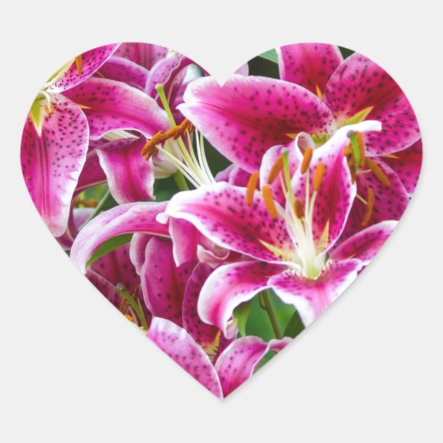 Stargazer Lilies Heart Sticker (Front)