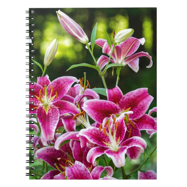 Stargazer Lilies Notebook (Front)