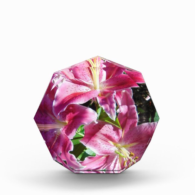 stargazer lilies photo block (Front)