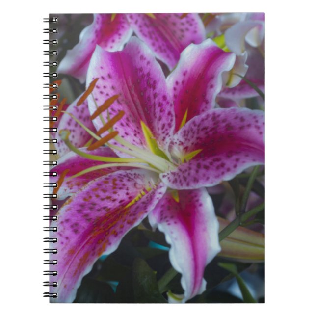 Stargazer Lilies Pink and Magenta Flowers Notebook (Front)