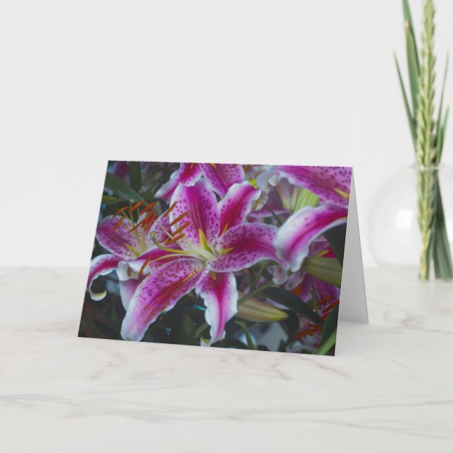 Stargazer Lilies Pink & Magenta Card (Front)