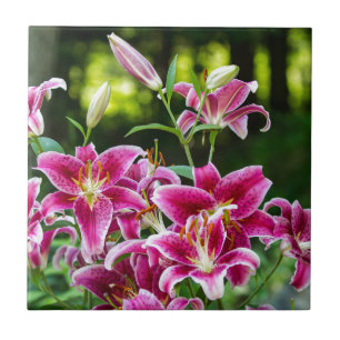 Stargazer Lilies Tile