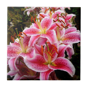 "Stargazer" Lilies Tile