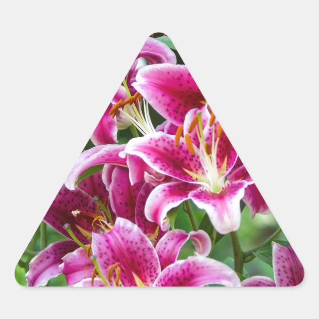 Stargazer Lilies Triangle Sticker (Front)