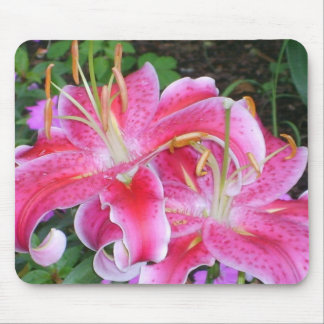 Stargazer Lillies Mousepad