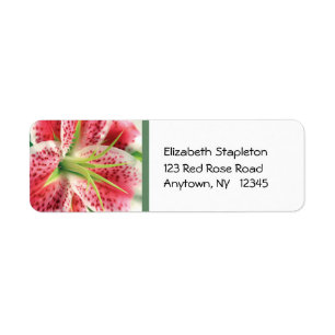 Stargazer Lily Address Label